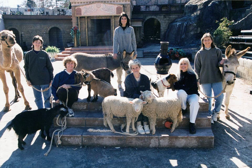 biblical animals