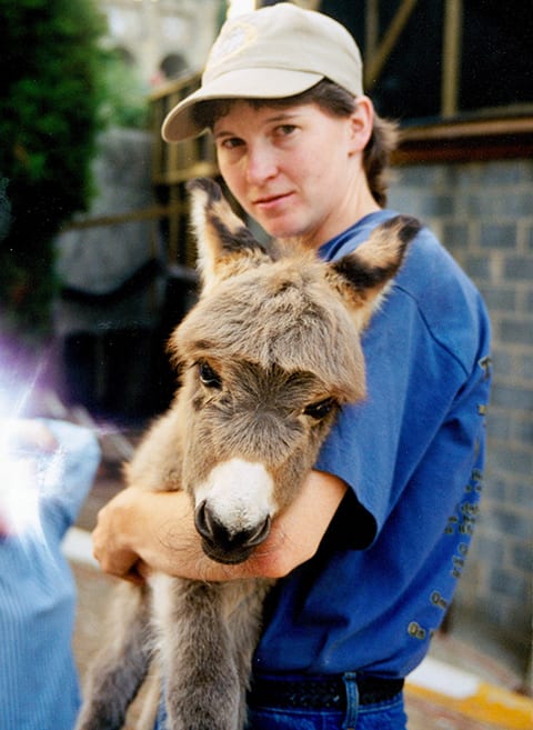 holding baby donkey