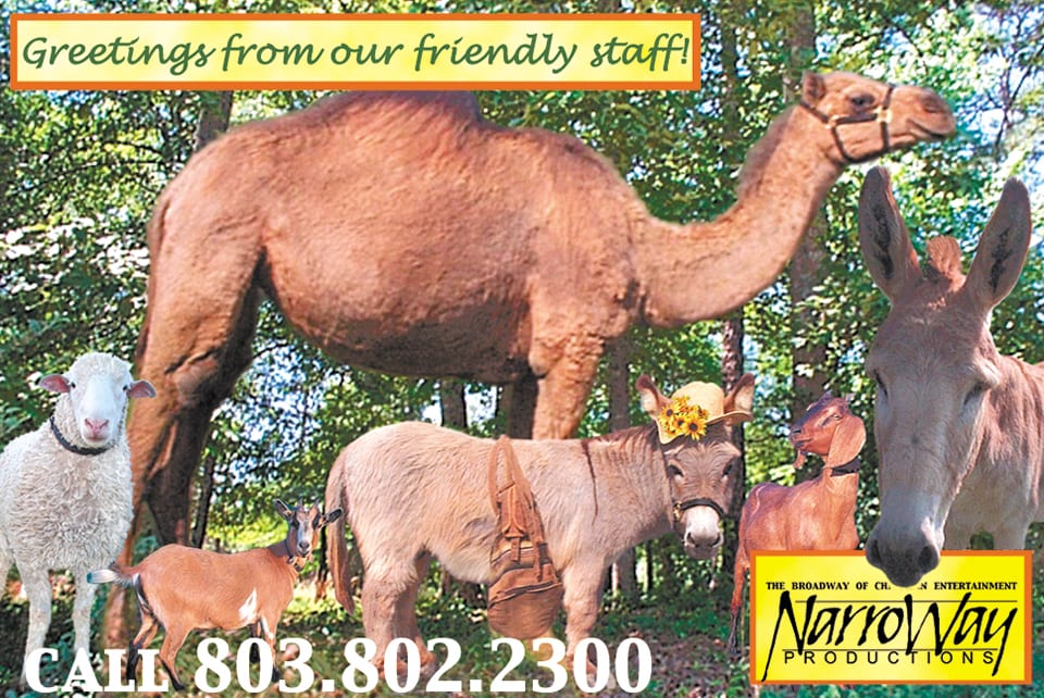 animals on postcard