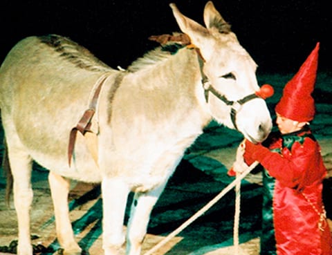 standard donkey