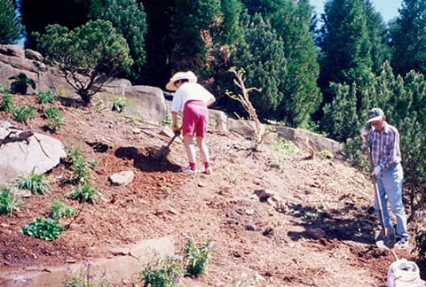 planting garden