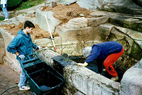 cleaning pond