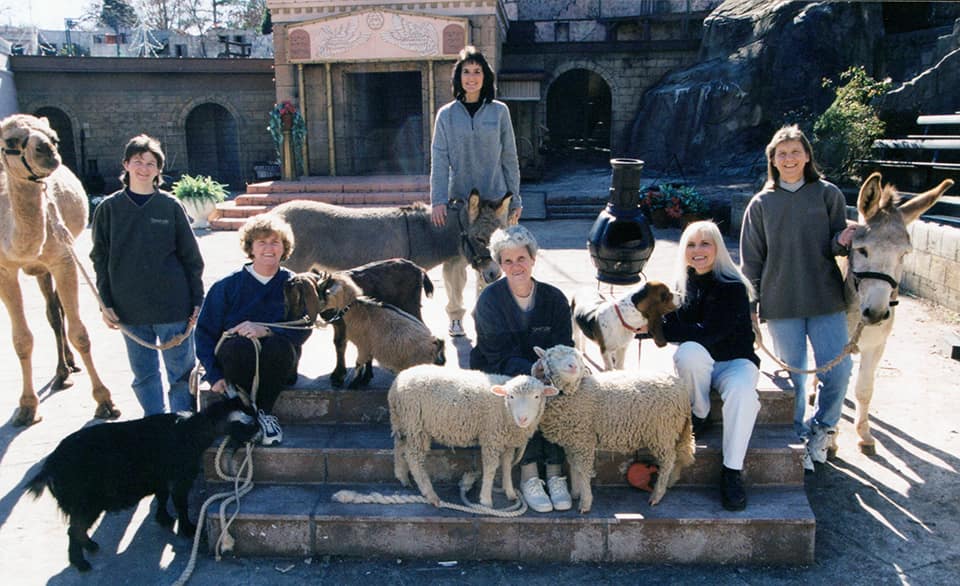 animals on stage