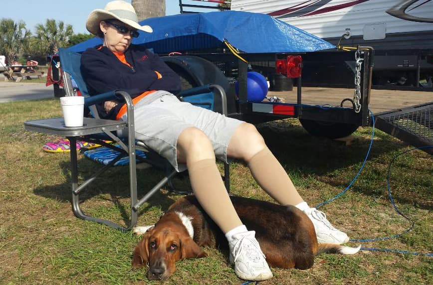basset hound napping