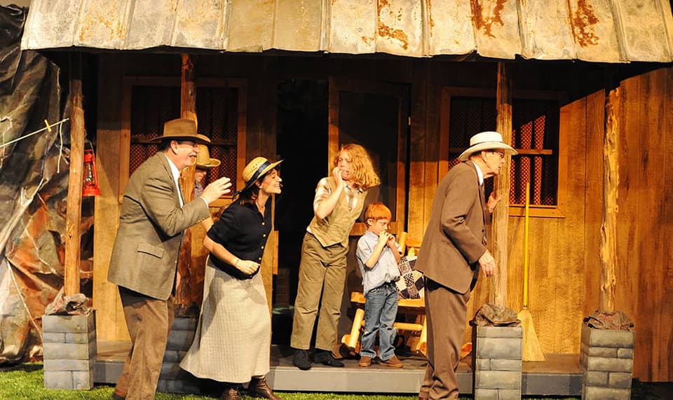 country house in show